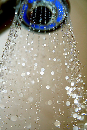 Shower Head Water Drops 7-26-09 3 by stevendepolo, on Flickr