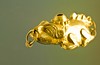 Frog, Pre-hispanic tattoo idea, Gold Museum